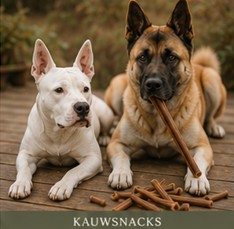 kauwsnacks