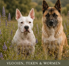 Natuurlijke weerstand tegen vlooien, teken en wormen