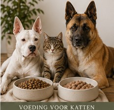 Voeding voor katten