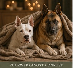Vuurwerk-angst/onrust bij drukte